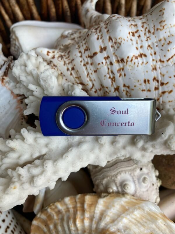 USB: Soul Concerto