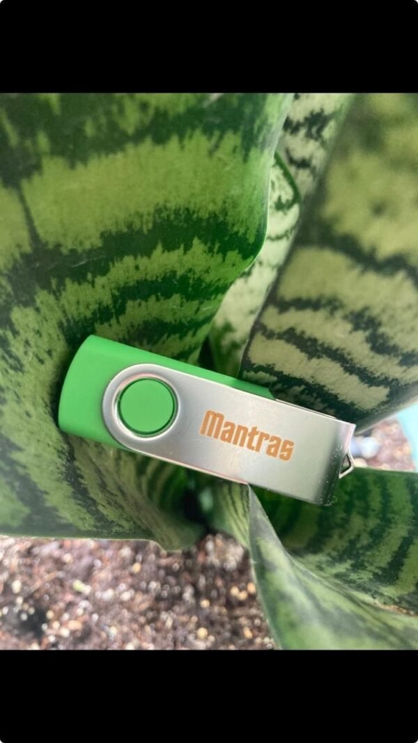 USB: Mantras